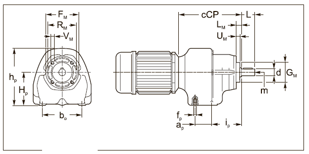 Вариант исполнения AC 25 Вариант исполнения AC 25