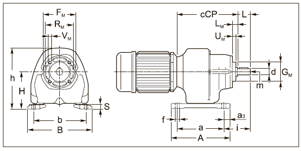 Вариант исполнения ACP 25 Вариант исполнения ACP 25