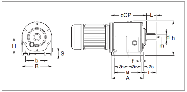 Вариант исполнения ACP 80 Вариант исполнения ACP 80