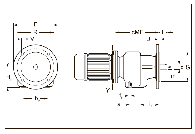 Вариант исполнения AMF 25 Вариант исполнения AMF 25