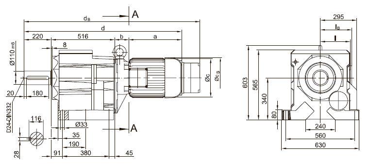 Вариант исполнения на лапах BG100 Вариант исполнения на лапах BG100