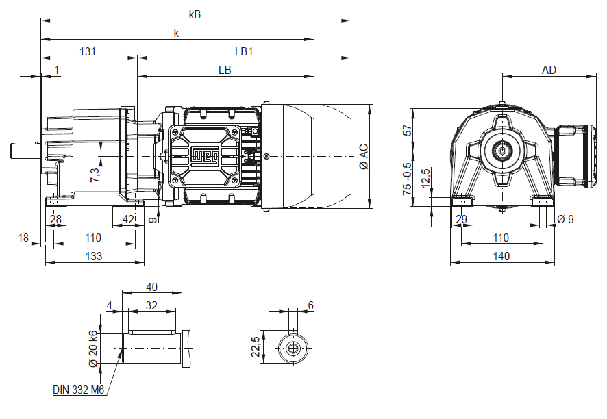 CG01 - на лапах