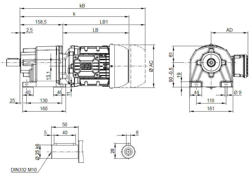 CG03 - на лапах