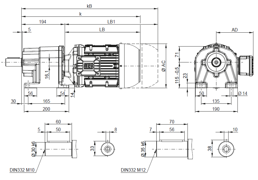 CG05 - на лапах