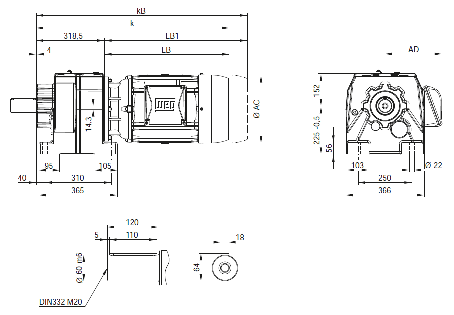 CG09 - на лапах