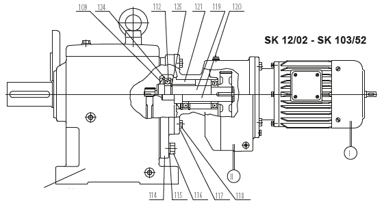 SK 12/02 - SK 103/52